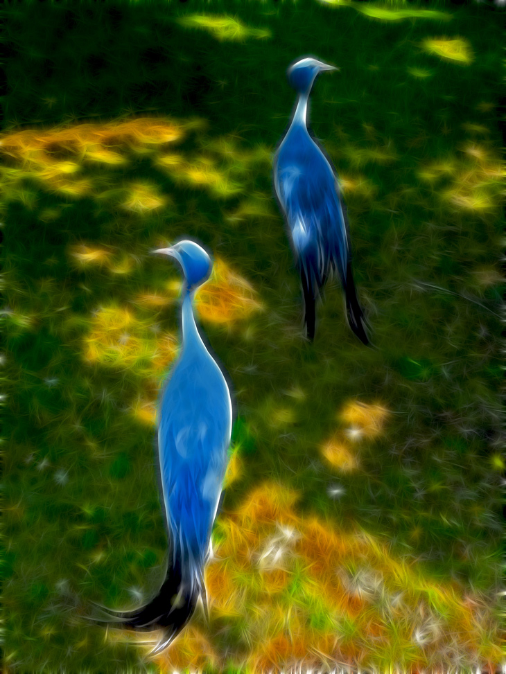 arealuce049.jpg